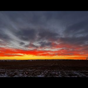 Meet your Posher, Leona